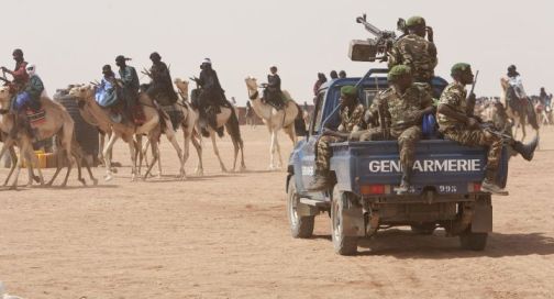 Niger : 33 civils massacrés, 500 bêtes volées — quand la terreur frappe au cœur des populations